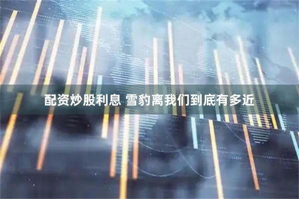 配资炒股利息 雪豹离我们到底有多近