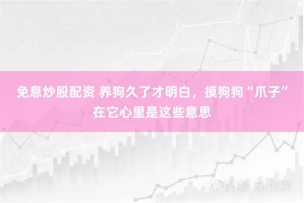 免息炒股配资 养狗久了才明白，摸狗狗“爪子”在它心里是这些意思