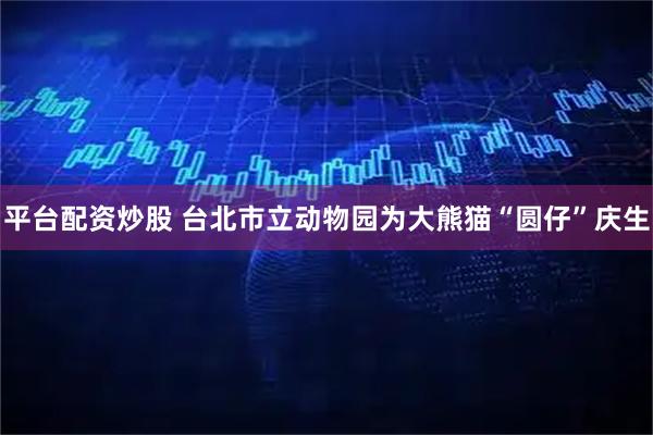平台配资炒股 台北市立动物园为大熊猫“圆仔”庆生