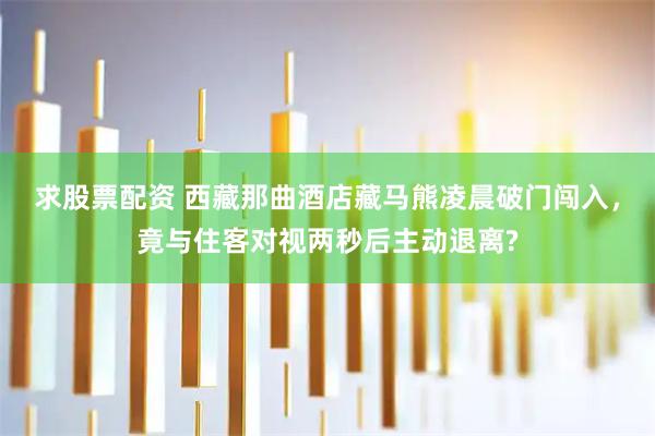 求股票配资 西藏那曲酒店藏马熊凌晨破门闯入，竟与住客对视两秒后主动退离?
