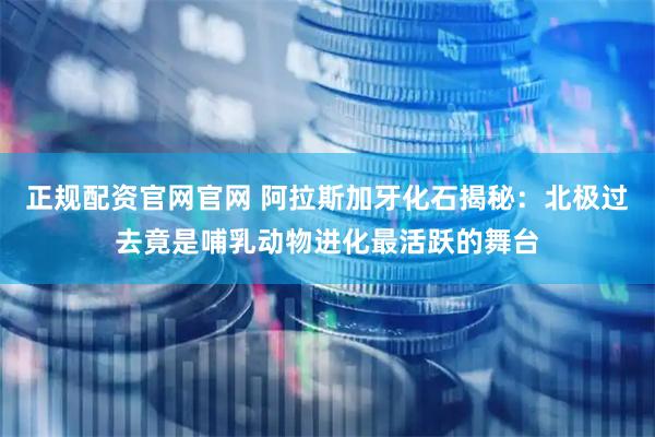 正规配资官网官网 阿拉斯加牙化石揭秘：北极过去竟是哺乳动物进化最活跃的舞台
