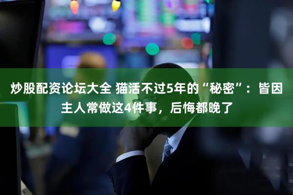 炒股配资论坛大全 猫活不过5年的“秘密”：皆因主人常做这4件事，后悔都晚了
